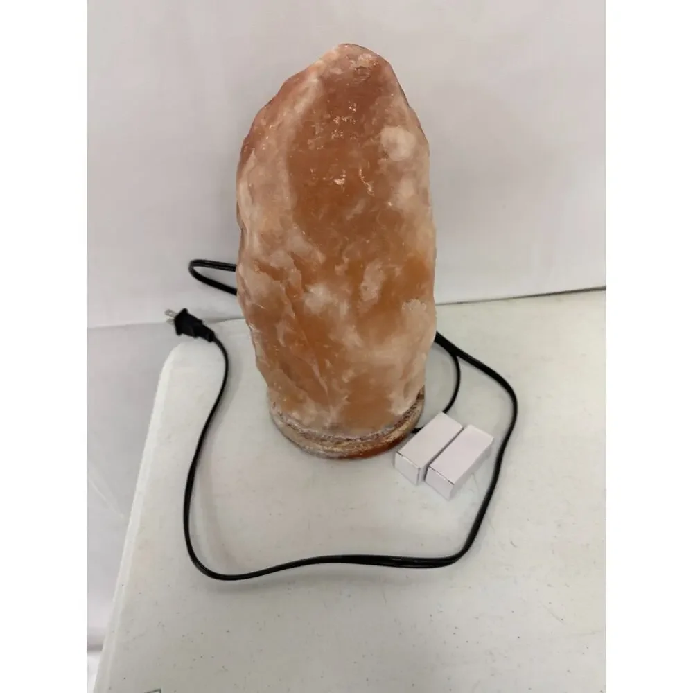 Himalayan Salt Lamp 10 in. Tall with Dimmer Switch Night Light Table Lamp